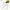 #17 BOGO Deal - 2 x #17 Builder Gel Brush - HyBa® BEAUTY