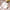 18 BOGO Deal - 2 x 15 Hybrid Gel Brush - HyBa® BEAUTY